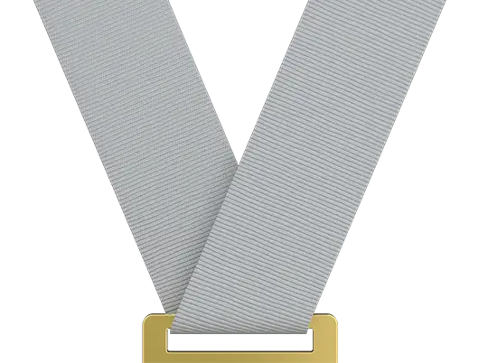 Light Gray Medal Ribbon