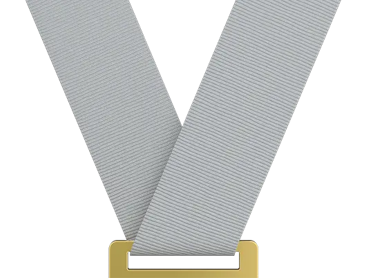 Light Gray Medal Ribbon Light Gray Medal Ribbon