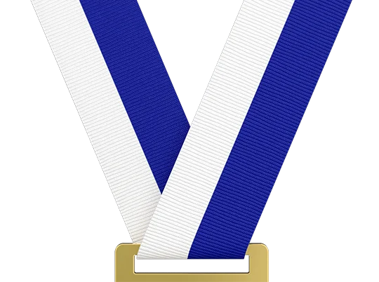 White/Reflex Blue (In Stock)