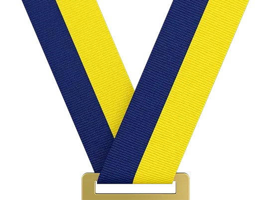 Navy Blue/Yellow (In Stock) Navy Blue/Yellow (In Stock)