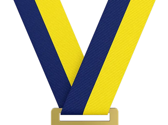 Navy Blue/Yellow (In Stock)