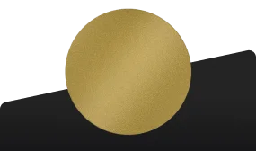 Standard Back Standard Back