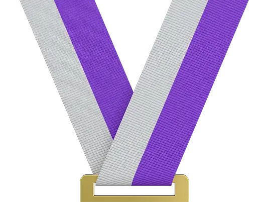 Light Gray/Purple (In Stock) Light Gray/Purple (In Stock)