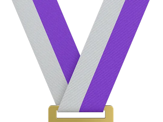 Light Gray/Purple (In Stock)