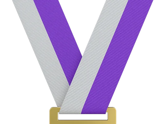 Light Gray/Purple (In Stock)