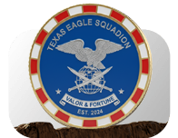 Poker Chip Challenge Coins