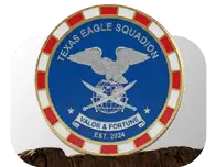 Poker Chip Challenge Coins