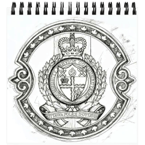 Your law enforcement challenge coins Idea Your law enforcement challenge coins Idea