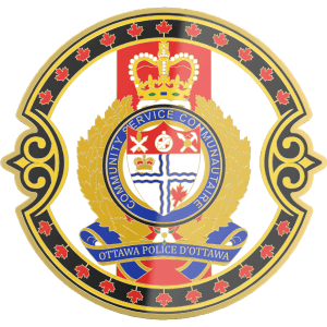 Free 2D Real Effect for law enforcement police challenge coins Free 2D Real Effect for law enforcement police challenge coins