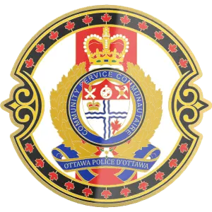 Free 2D Real Effect for law enforcement police challenge coins