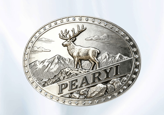 Dazzling Rhinestone Belt Buckles