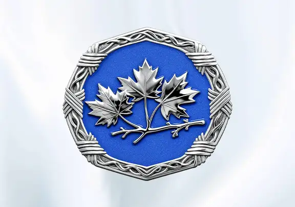 Transparent Elegance Belt Buckles