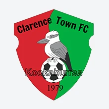 Kookaburras Pin Design