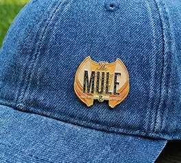 Custom Mule Pins