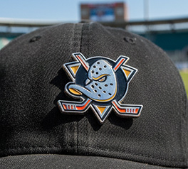 Baseball member pins