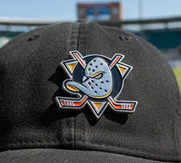 Baseball member pins