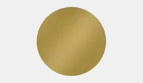 Standard Back Standard Back