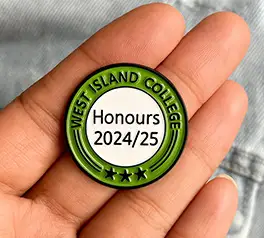 Honours Custom pins