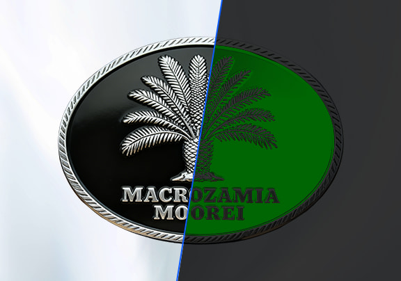 Radiant Night Glow Belt Buckles