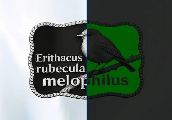 Radiant Night Glow Belt Buckles