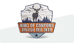 75% Custom Embroidered Patches 75% Custom Embroidered Patches