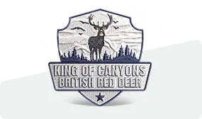 50% Custom Embroidered Patches