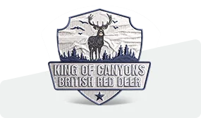 50% Custom Embroidered Patches 50% Custom Embroidered Patches