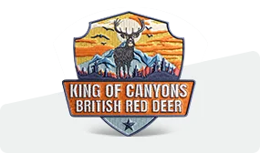 100% Custom Embroidered Patches 100% Custom Embroidered Patches