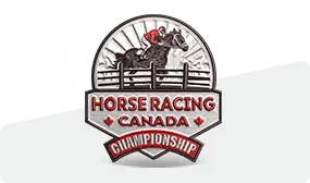 50% Custom Embroidered Patches