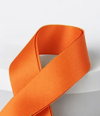 Blank Lanyards Blank Lanyards