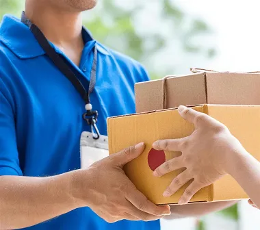 Professional Experience Professional Experience