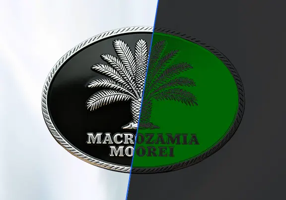 Radiant Night Glow Belt Buckles Radiant Night Glow Belt Buckles