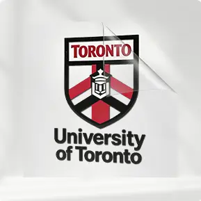 3D Silicone Patches