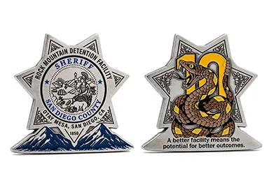 ROCK MOUNTAIN DETENTION FACILITY COIN