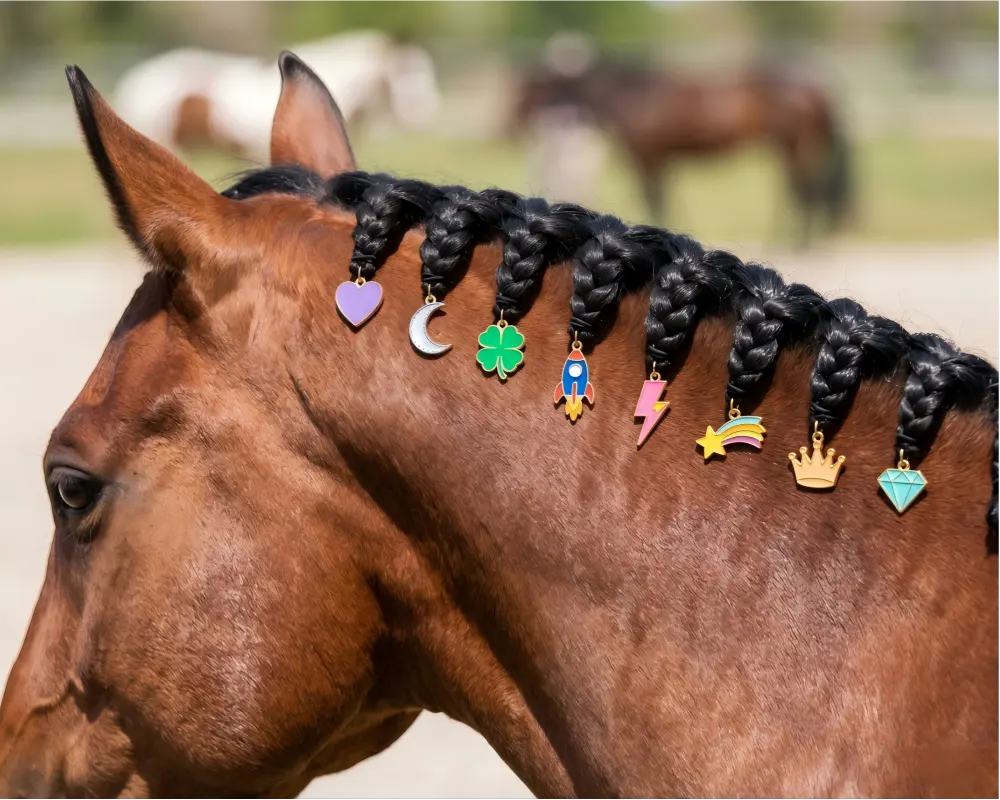 Tiny colorful custom enamel charms on horsehair mane braids