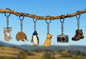 Pins and Keychains