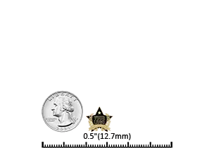 0.5"(12.7mm) soft enamel pins 0.5"(12.7mm) soft enamel pins