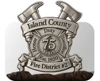 Die Struck Firefighter Challenge Coin With Department Badge Design
