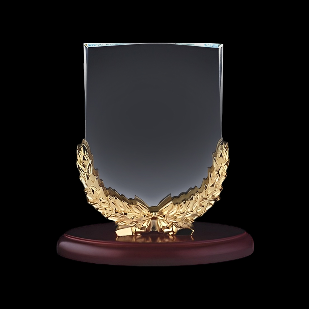 Custom Trophy Perfect Award