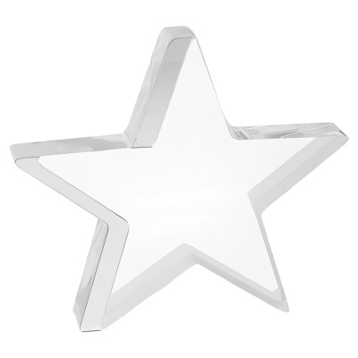  Acrylic Star Award WIth Custom Logo