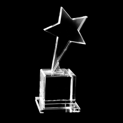 Customized Crystal Flying Star Award