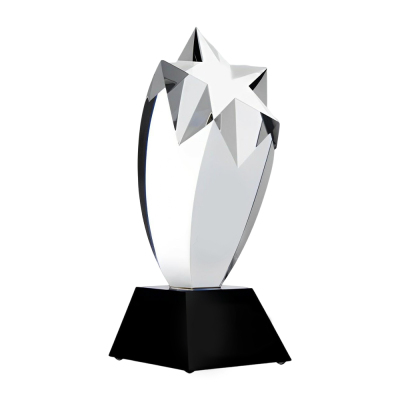 Customized Rising Star Award With Clear Slant Base