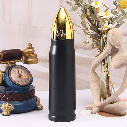 16oz Stainless Steel Vacuum Insulated Bottle