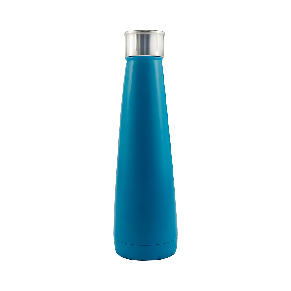 STAINLESS STEEL BOTTLE Blue