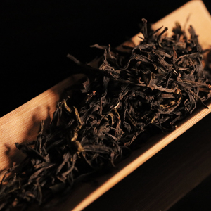 东极紫茶（乔木）