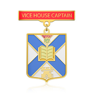 Vice House Captain School Badges