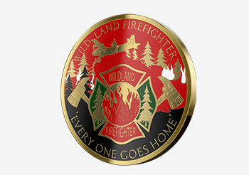  Hard Enamel Coins