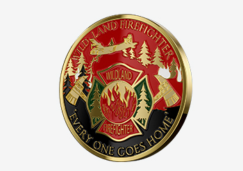 Soft Enamel Coins