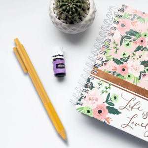 Custom Plastic Retractable Madeline II Pens