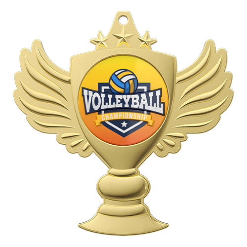 Volleyball Champion Medal of Honor